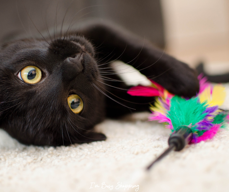 Although National Cat Day is still months away, looking for cat toys for cats as early as now is very understandable. Our sweet furry friends are just too irresistible — we can't do anything but spoil them with love and new exciting toys every time we get the chance.