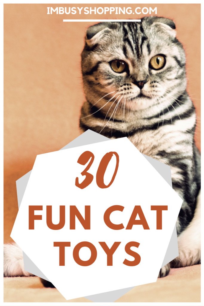 Pin showing the text 30 Fun Cat Toys with photo of a cat on the background