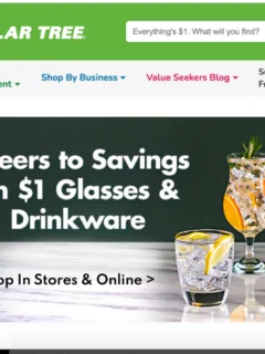 Featured image showing the home screen for ordering online from dollar Tree
