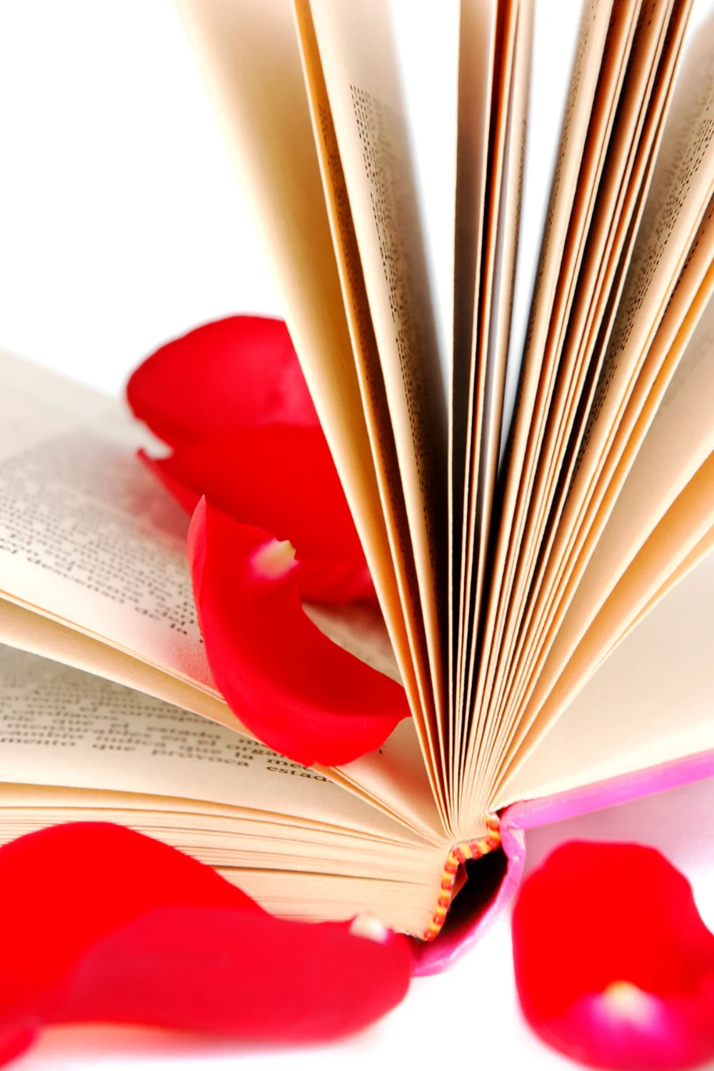teen romance book with red flower petals