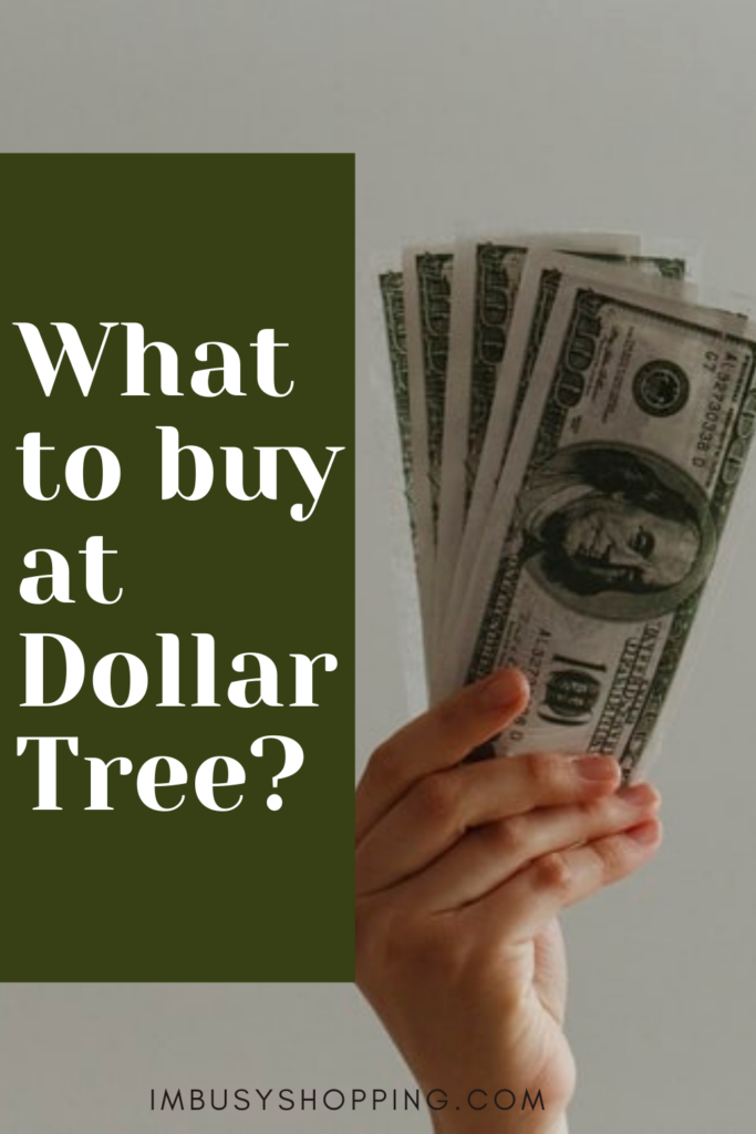 Pin showing the text What to Buy a Dollar Tree with an image of hands holding several dollars
