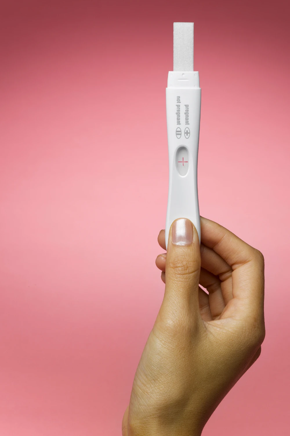 Dollar Tree Pregnancy Test