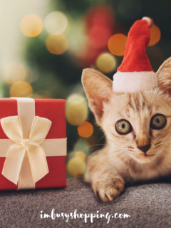 Christmas Gift for a Cat featured image