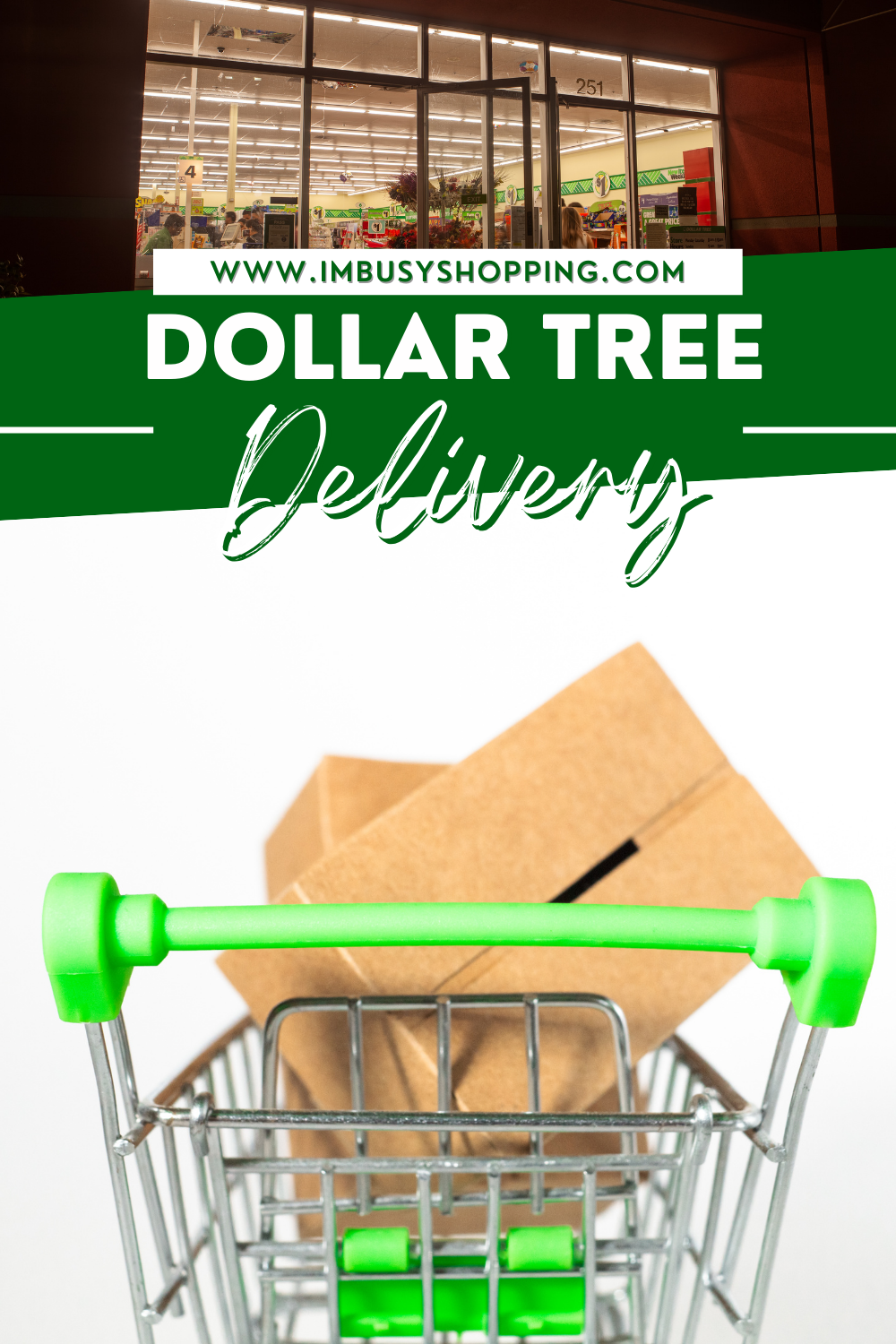 Pin showing the title Dollar Tree Delivery
