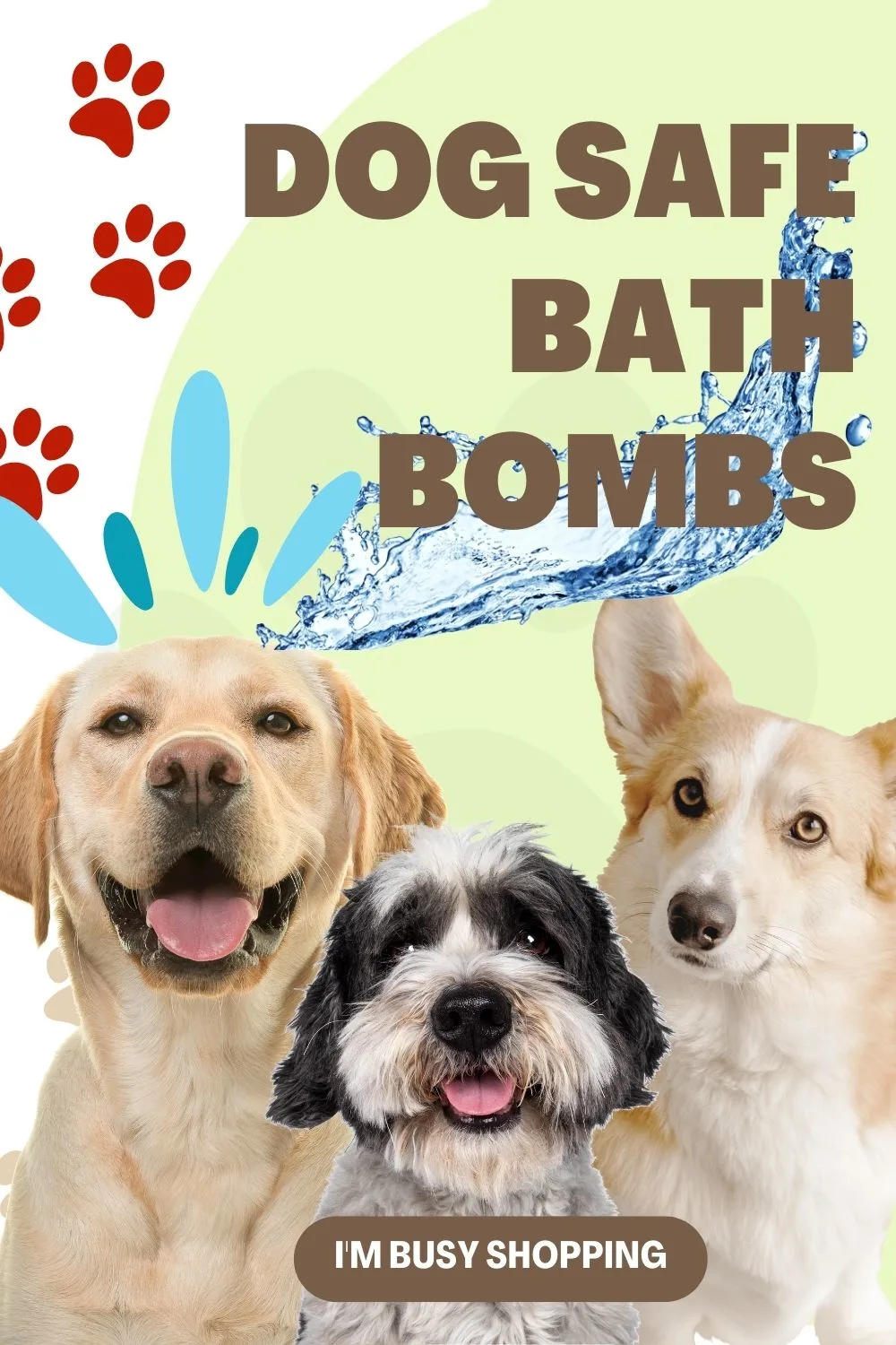 are bath bombs toxic to dogs