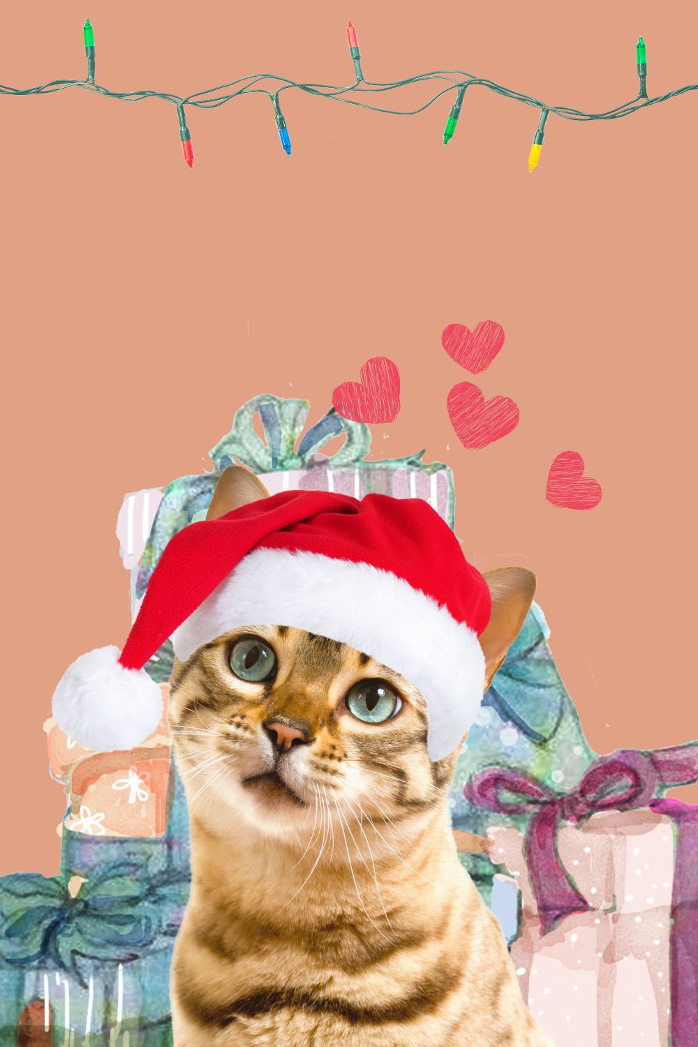cute cat with gifts