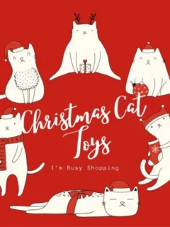 Christmas toys for cats
