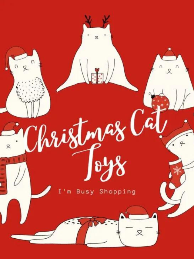 Christmas Cat Toys Story