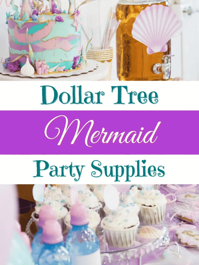 Dollar Tree Mermaid Party Supplies Story